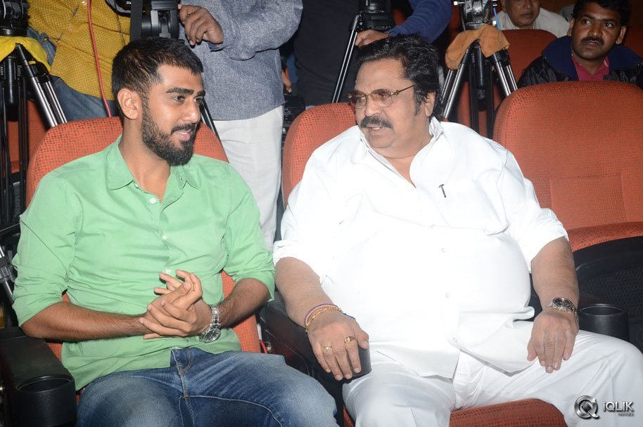 Pelli-Choopulu-Movie-Success-Meet